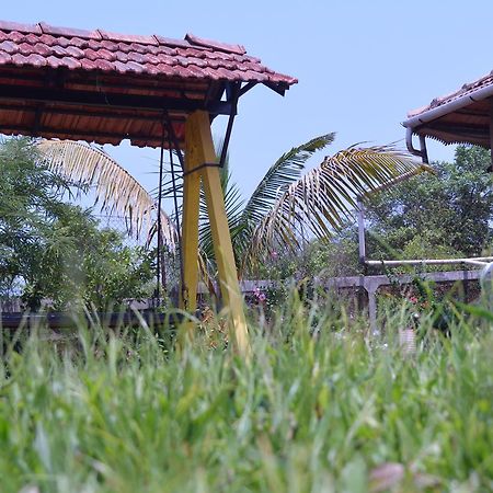 Mango Holiday Resort, Amba Kolhapur Ngoại thất bức ảnh