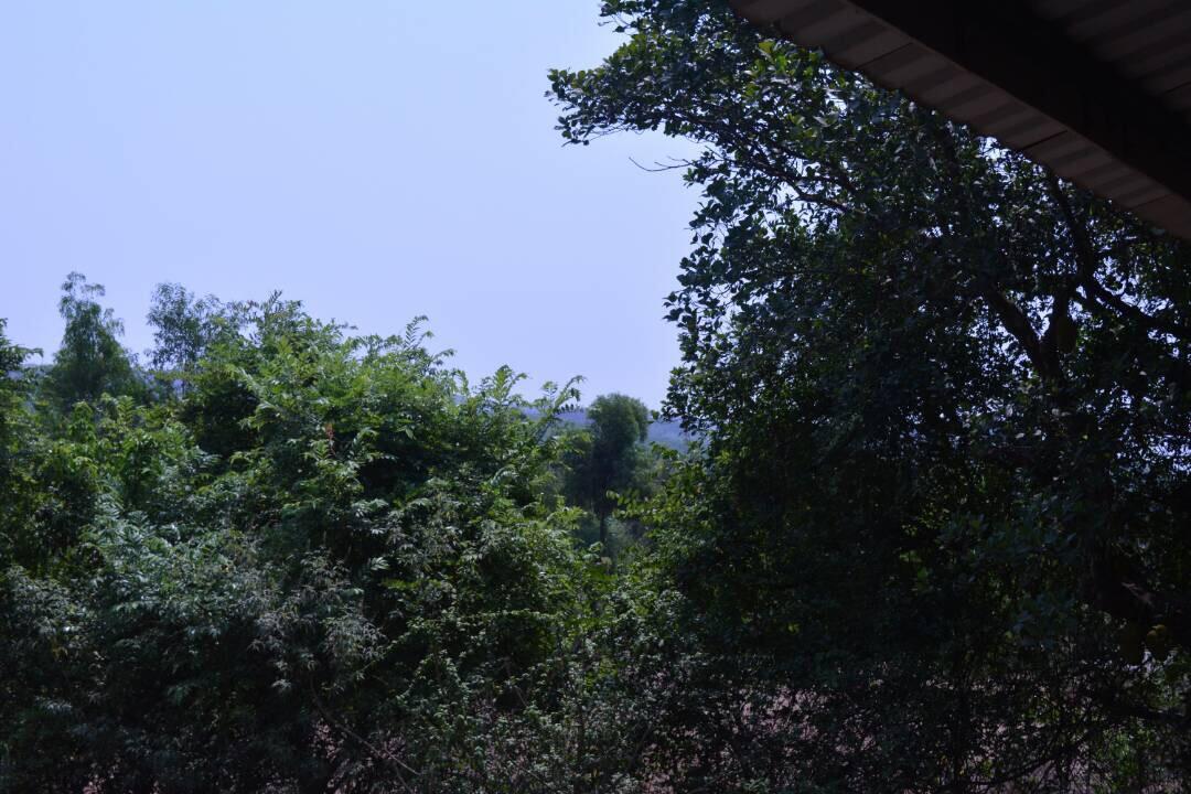 Mango Holiday Resort, Amba Kolhapur Ngoại thất bức ảnh