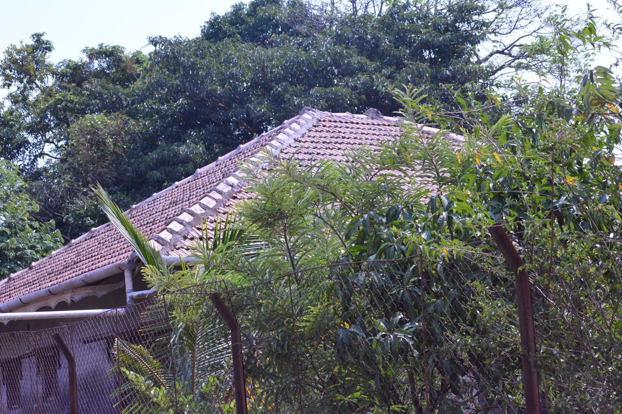 Mango Holiday Resort, Amba Kolhapur Ngoại thất bức ảnh